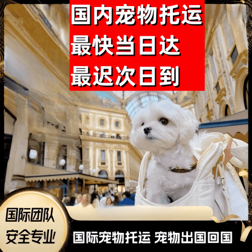 金山区到澳大利亚（澳洲）宠物入境规定和要求